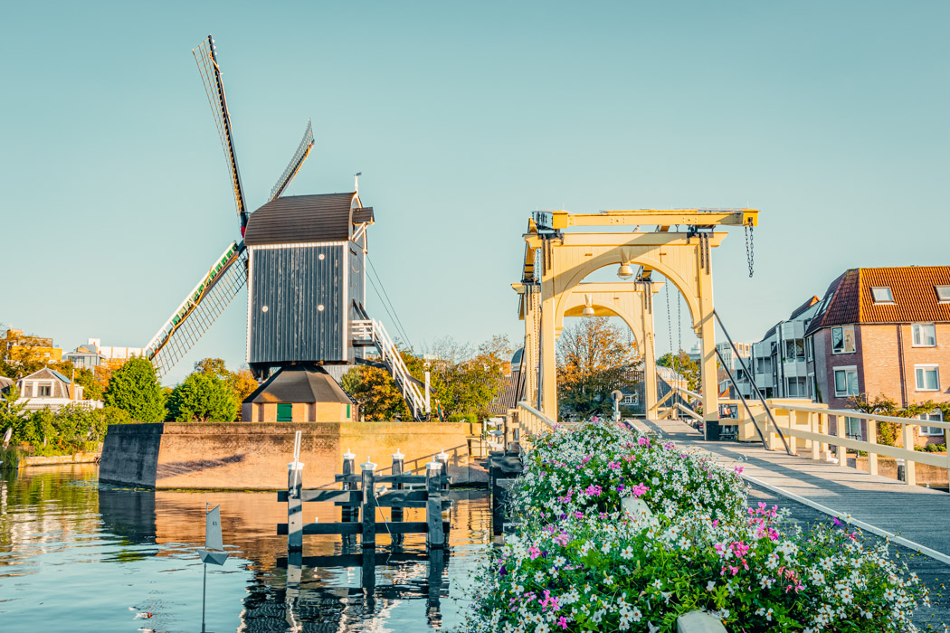 Things to do in Leiden