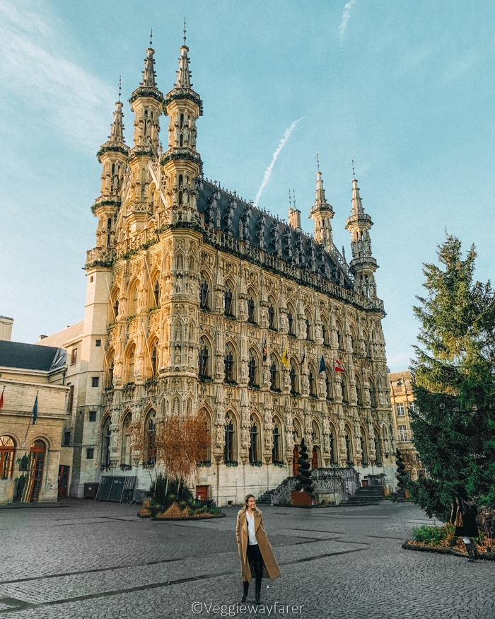 Brussels day tours to Leuven