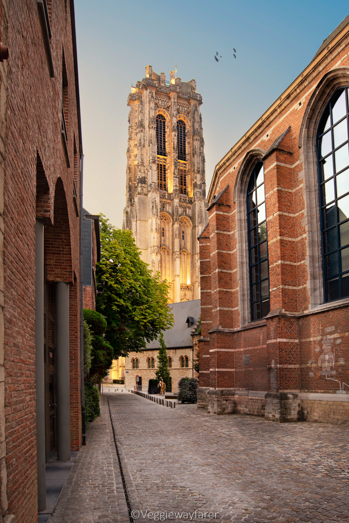 Climb the Saint Rumboldscathedral in Mechelen