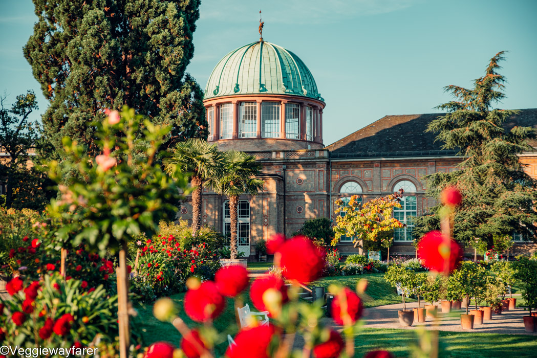 Karlsruhe Botanical Gardens