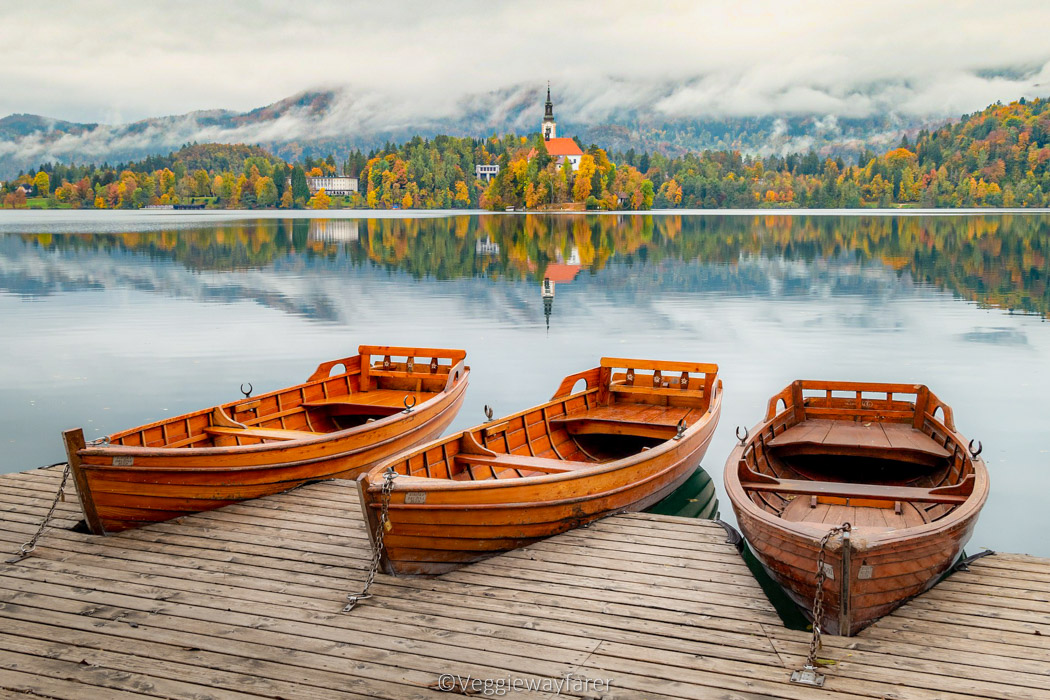 boat rentals on lake bled in the fall time with mist over the forest