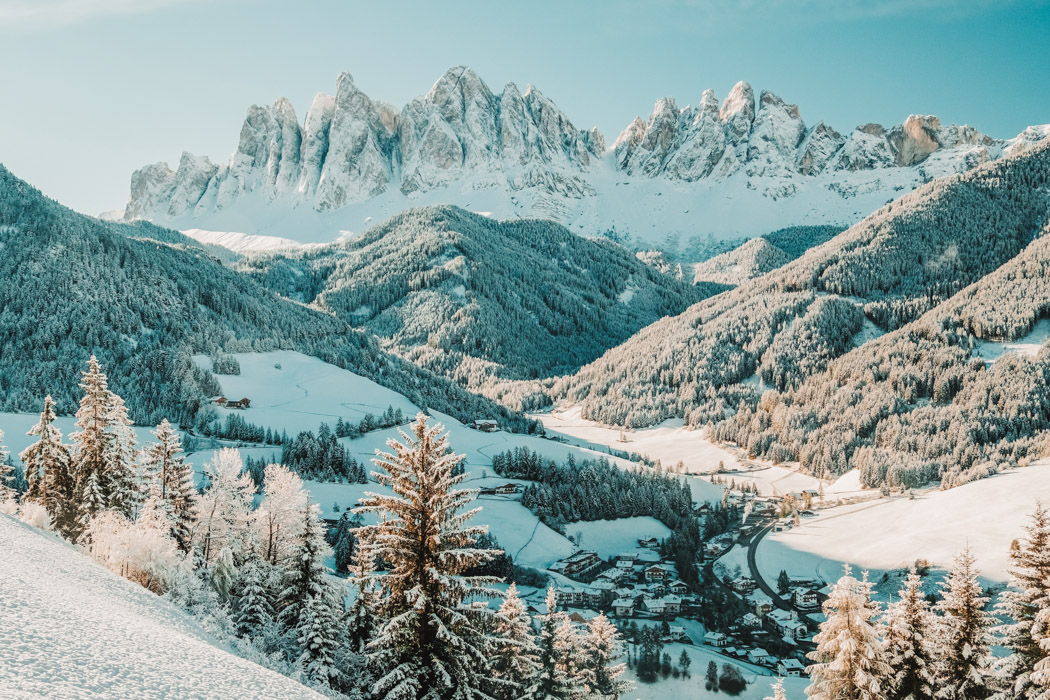 Winter sunny panorama of fir trees covered with white snow with Dolomites mountain background, Italy.