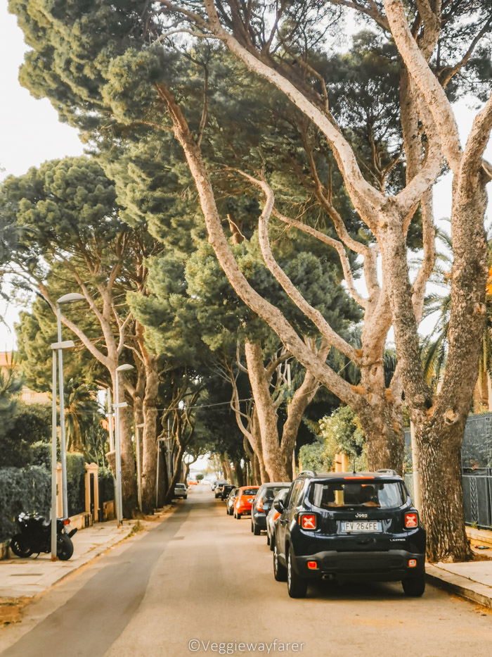 Driving in Sicily