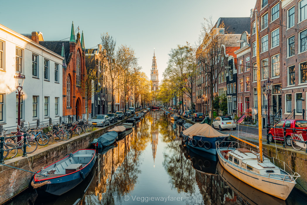 How to get around Amsterdam: Guide to Amsterdam Public Transportation