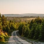 Harz Mountains Germany