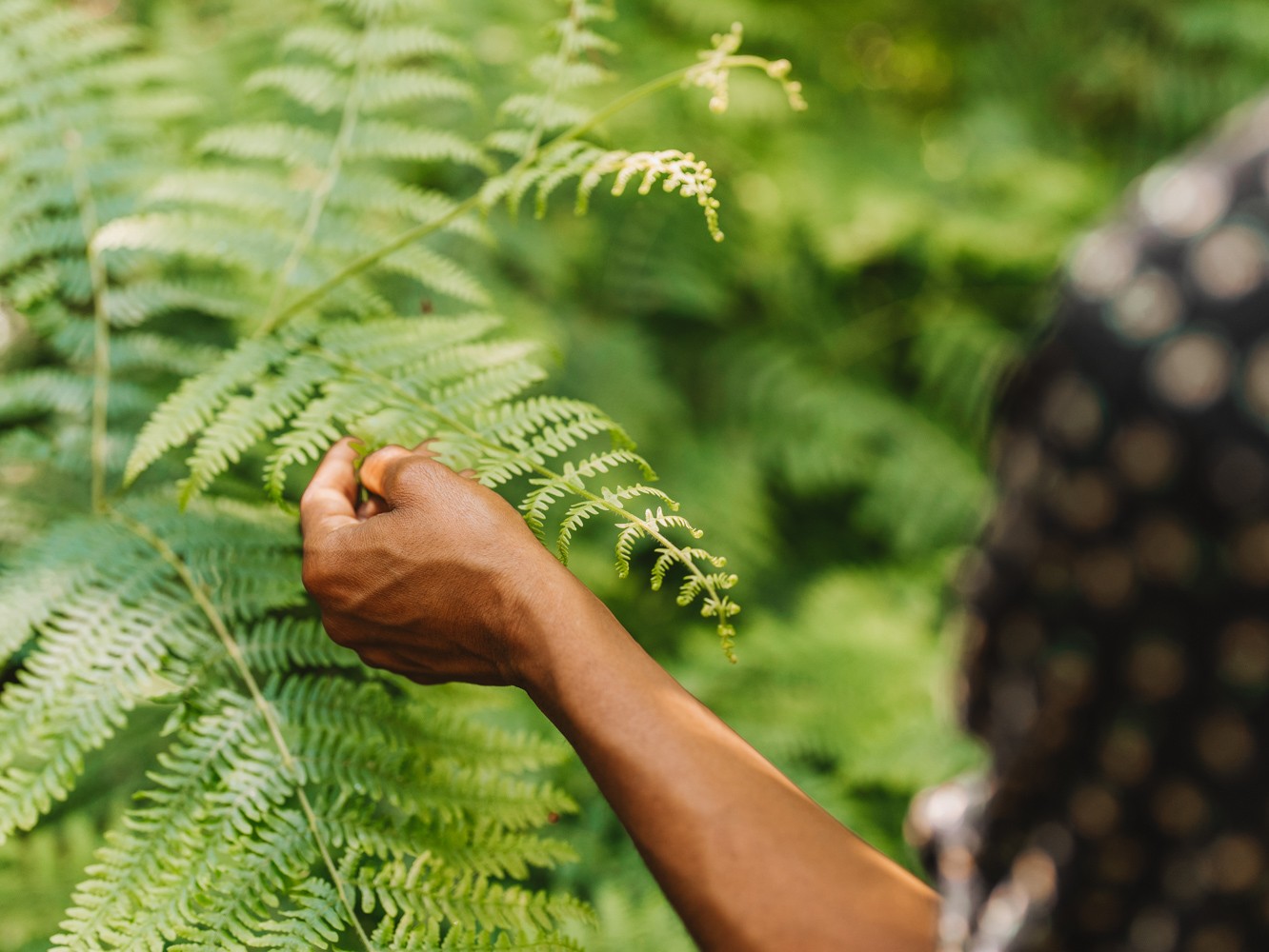Conscious Travel