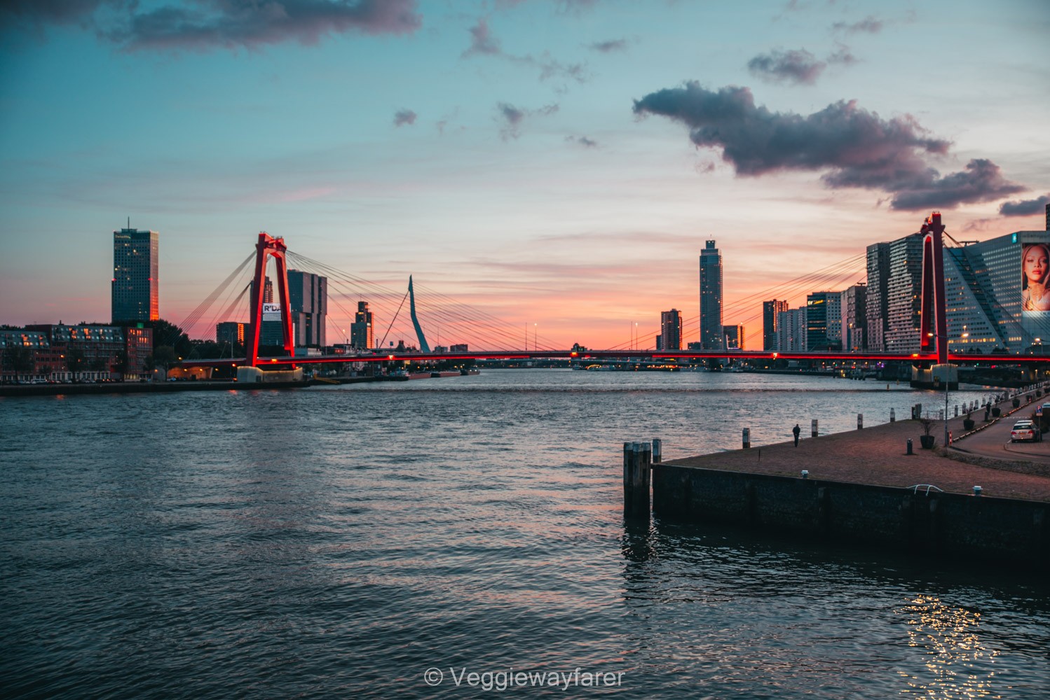 Sustainable Weekend in Rotterdam: Best things to see, do and eat!