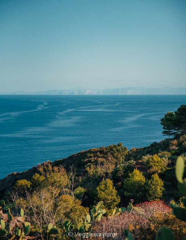 What to do in Ustica