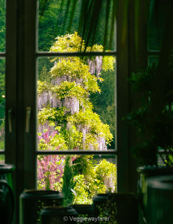 Hilmteich Graz Austria