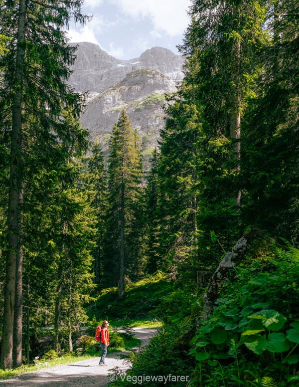 Gauertaler AlpkulTour Montafon Austria