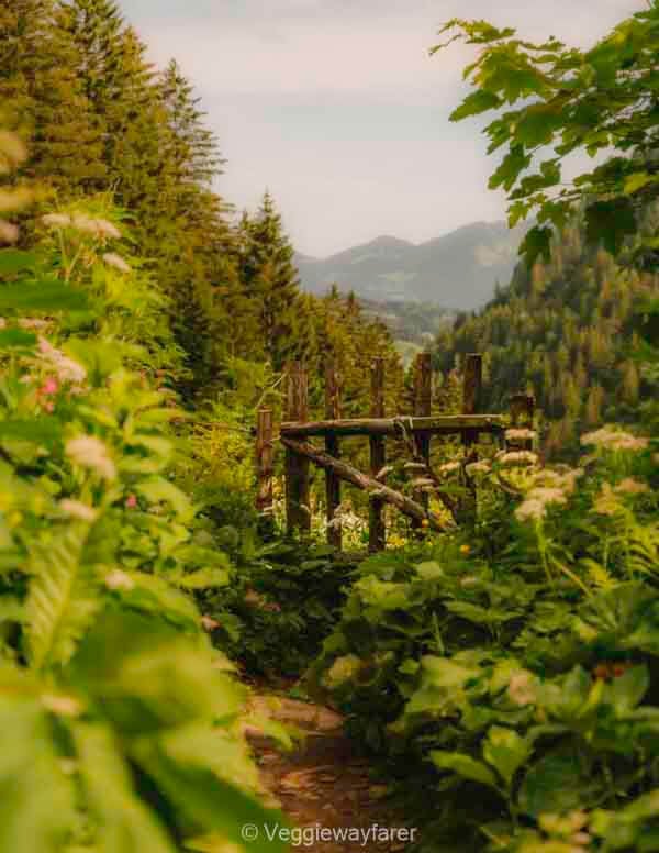 Sarotla Hutte Branderntal