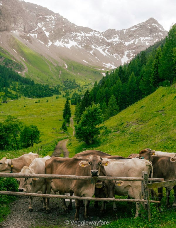 What to see in Vorarlberg