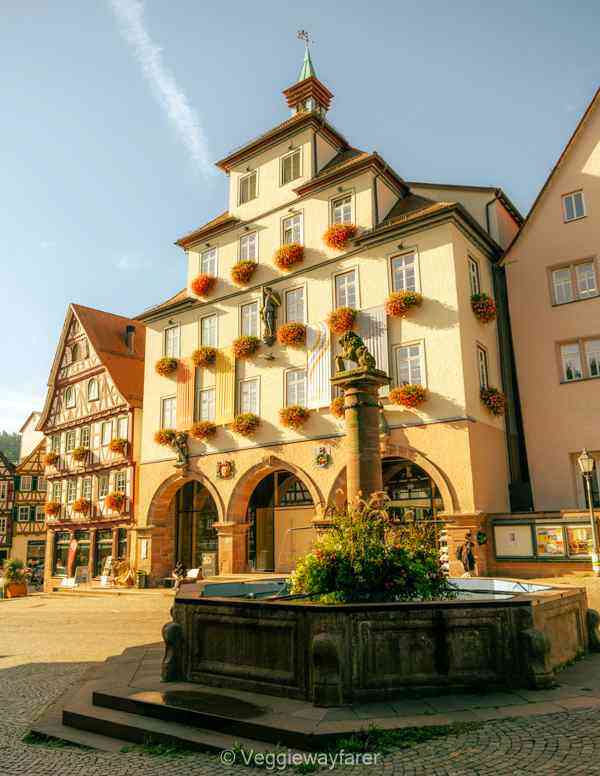 Cityhall of Calw Germany covered in flowers with a fountain in front