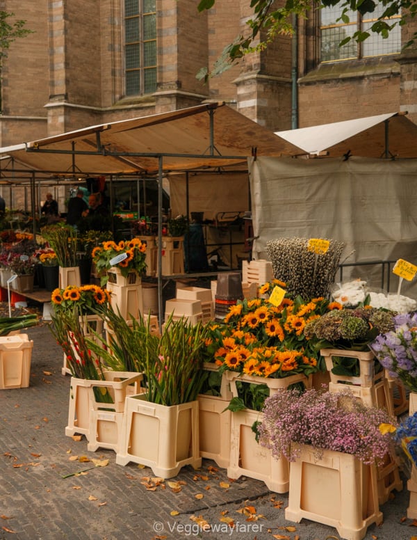 flowers on display at the flowermarket in Utrecht