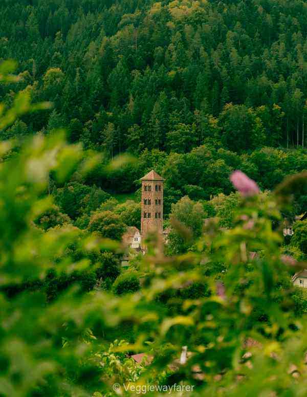 St Peter and Paul Church Hirsau