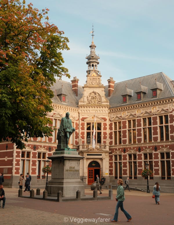 Domplein in Utrecht, people walking past